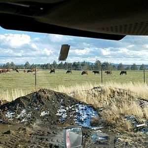 Meet your Posher, Rickey